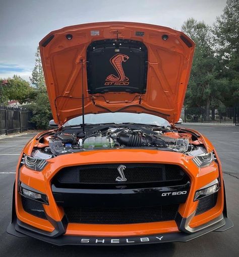 Orange Mustang Gt, Mustang 2014, Orange Cars, Car Mustang, Ford Mustang Wallpaper, 2011 Ford Mustang, Cars Mustang, 1973 Mustang, Gt 350