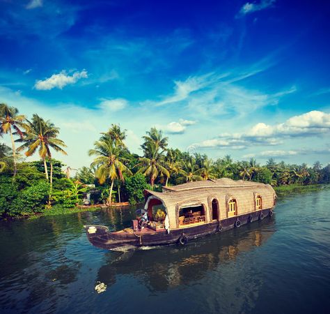 India Places, South India Tour, Kerala Backwaters, India Trip, Kovalam, Kerala Tourism, Western Ghats, Munnar, India Tour