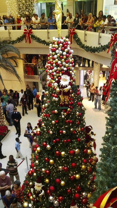 Christmas at West Mall Trinidad and Tobago Trinidad Culture, Soca Music, Port Of Spain, Small Island, Toronto Canada, Trinidad, Trinidad And Tobago, Christmas Trees, Hockey