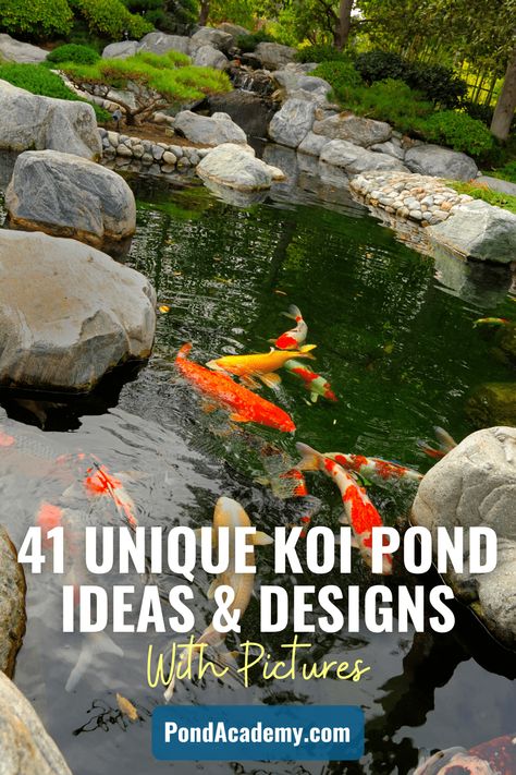 Home Koi Pond, Koi Ponds With Waterfalls, Above Ground Koi Pond Ideas, Coy Pond Ideas Backyards, Modern Koi Pond Design, Small Koi Pond Ideas, Diy Ponds Backyard Simple, Indoor Koi Pond, Koi Pond Ideas