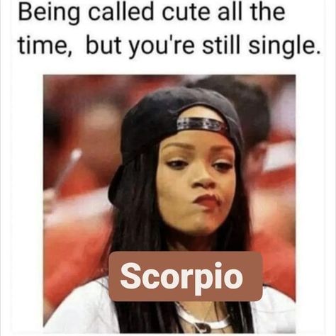 Scorpio memes on Instagram Scorpio Memes Truths, Scorpio Memes Funny So True, Scorpio Memes Funny, November Scorpio, Scorpio Things, Scorpion Queen, Scorpio Girl, Scorpio Zodiac Facts, Still Single