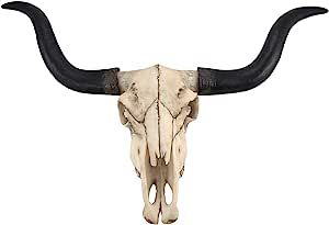 Western Themed Bedroom, Cow Skull Decor, Cowboy Room, Skull Hanging, Industrial Farmhouse Decor, Longhorn Steer, Veterinary Science, Wildlife Rehabilitation, Longhorn Skull