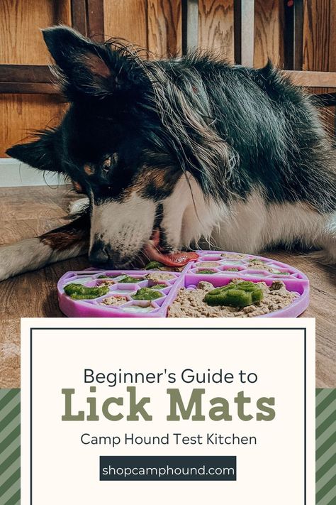 Lick May Recipes, Homemade Lick Mat For Dogs, Lick Mat Recipes Cat, Easy Lick Mat Recipes, Recipes For Dog Lick Mats, Lick Mat Recipes For Puppy, Lick Pads For Dogs, Frozen Dog Lick Mats, Senior Dog Activities