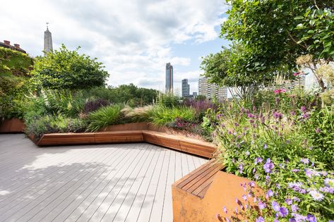 A Look Inside Jigsaw’s Cool New London Office - Officelovin' Roof Garden Design, Terrace Design, Rooftop Garden, Plants And Flowers, Community Gardening, Roof Garden, Rooftop Terrace, Terrace Garden, Green Roof