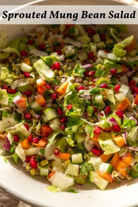 sprouted mung bean salad Mung Bean Salad, Cracked Green Beans, Peanut Salad, Bean Salad Recipe, Bean Salad Recipes, Colorful Vegetables, Mung Bean, Green Bean Recipes, Bean Salad