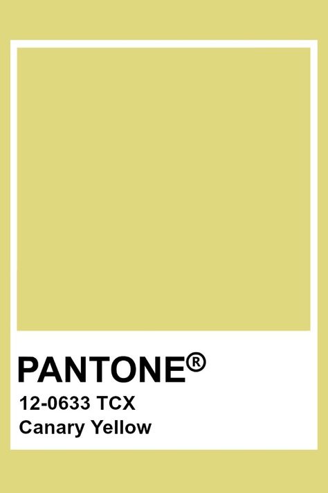 Pantone Canary Yellow Canary Color, Canary Color Aesthetic, Yellow Canary, Pantone Colors Yellow, Light Yellow Pantone, Pale Yellow Pantone, Pantone Tcx Yellow, Pantone Tcx, Light Spring Palette