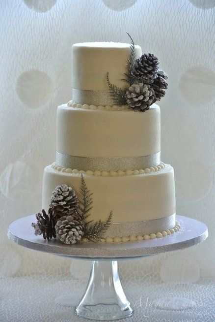 Winter wedding Cake by polkadot.  Visit us at http://www.facebook.com/jhyoungjewellers for more! Winter Wedding Cakes, Christmas Wedding Cakes, Rustic Winter Wedding, Small Wedding Cakes, Winter Wedding Cake, Wedding Themes Winter, Winter Cake, Themed Wedding Cakes, Tiered Cake