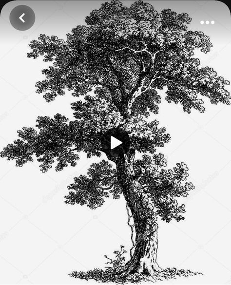 Landscape Drawing Tutorial, Pencil Tree, Landscape Pencil Drawings, Tree Drawings Pencil, Pencil Trees, Nature Sketch, Tree Sketches, Landscape Sketch, Paper Pencil