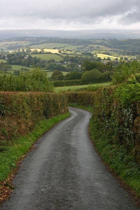 U.K. Hedgerows, Narrow roads of Dartmoor National Park, Devon, England Perspective Examples, Country Sides, Countryside Life, English Cottages, Gorgeous Places, Dartmoor National Park, Devon England, Tree Images, British Countryside