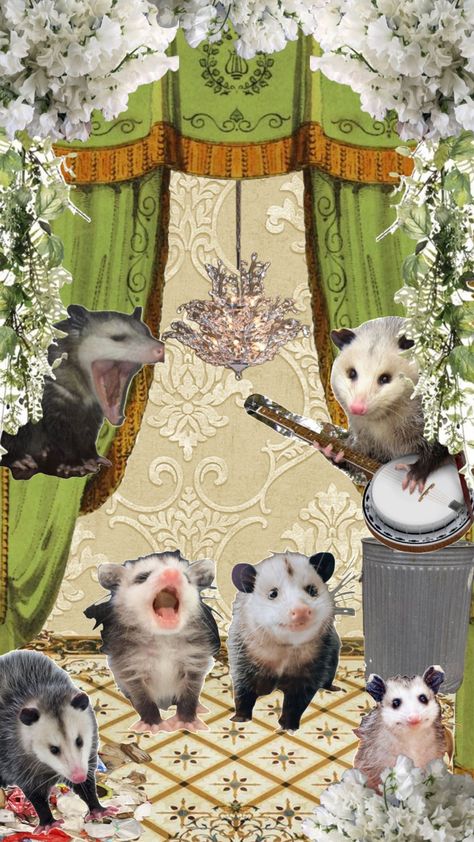 Opposum Wallpaper, Possum Wallpaper Iphone, Clown Possum, Opossum Wallpaper, Possum Wallpaper, Possum Aesthetic, Possum Party, Trashcore Aesthetic, Possum Art