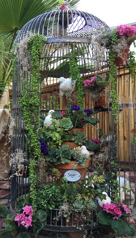 Vintage Bird Cage Decor, Birdcage Planter, Plant Cages, Patio Grande, Garden Art Ideas, Succulent Garden Diy, Bird Cage Decor, Vintage Bird Cage, Garden Decor Projects