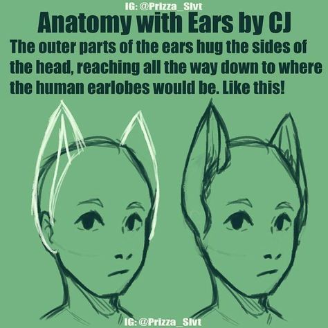 Figures Drawing, Anime Cat Ears, How To Draw Ears, Hybrid Cat, Anatomy Lessons, Drawing Animals, Human Figures, Anatomy Drawing, Arte Inspo