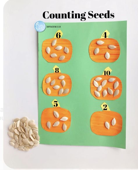 Preschool Math Lesson Plans, Pumpkin Math Activities For Toddlers, Fall Tk Activities, Counting Pumpkins Preschool, Counting Halloween Activity, Fall Montessori Activities For Preschool, Halloween Week Preschool, Pumpkin Learning Activities Preschool, Pumpkin Patch Crafts Preschool