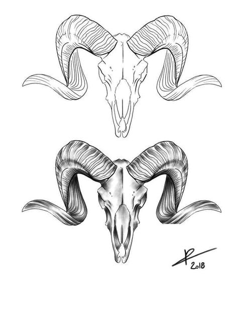 Horn Ideas Drawing, Billy Goat Tattoo, Goat Skull Tattoo, Ram Skull Tattoo, Goat Tattoos, Horn Ideas, Sheep Tattoo, Ram Tattoo, Goat Skull