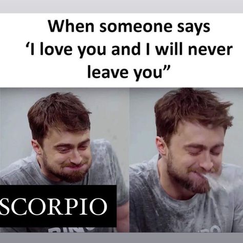 Funny Scorpio Quotes, Scorpio Meme, Zodiac Mind Scorpio, Scorpio Funny, Leo Signs, Zodiac Quotes Scorpio, Astrology Scorpio, Scorpio Zodiac Facts, Scorpio Quotes