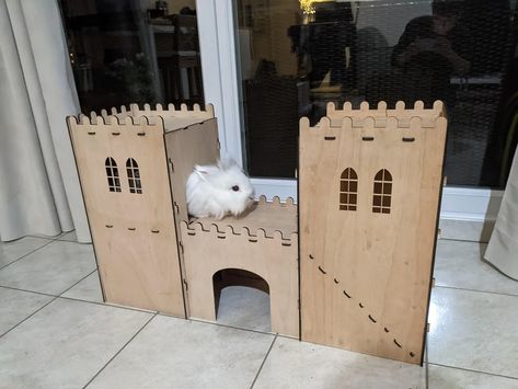 a little castle for my rabbits ! : r/lasercutting Rabbit Castle, Little Castle, Rabbits, Castle