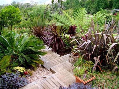 Award Winning Garden | NZ natives in a mixed planting | The Plant Company Beach House Garden, Tropical Garden Design, Sloped Garden, Garden Walkway, Garden Steps, Coastal Gardens, Native Garden, Garden Landscape Design, Beach Gardens