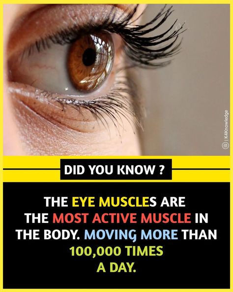 Amazing Science Facts Mind Blown, Upsc Quotes, Science Facts Mind Blown, Fun Facts Mind Blown, Fun Facts About Life, Biology Facts, Brain Facts, Indian History Facts, True Interesting Facts