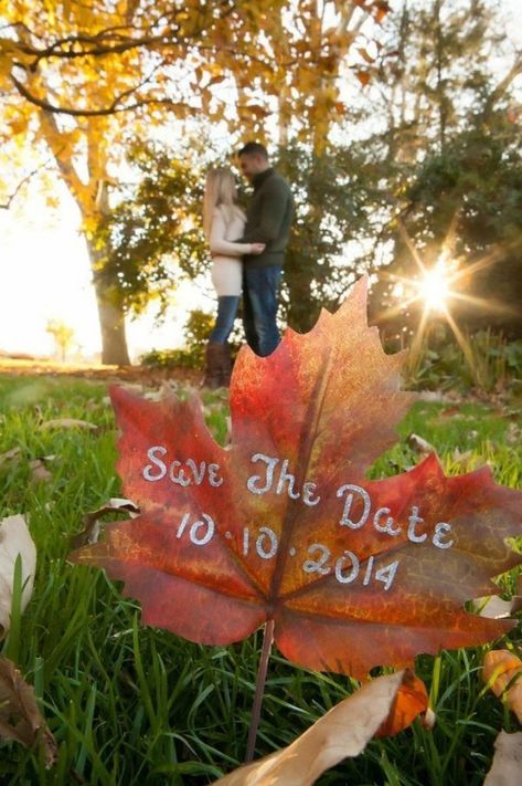 33 save the Date Ideas ... Fall Puns, Fall Wedding Trends, Alice In Wonderland White Rabbit, Save The Date Ideas, Wonderland White Rabbit, Date Idea, Date Photo, Outdoor Fall Wedding, Save The Date Photos