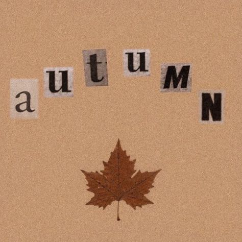 Autumn Pfp Aesthetic, Autumn Aesthetic Icon, Fall Aesthetic Widget, Brown Fall Aesthetic, Fall Aesthetic Icons, Autumn Phone Wallpaper, Halloween Wallpaper Cute, Halloween Facts, Fall Mood Board