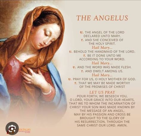 TRADITIONAL LATIN MASS CATHOLICS | Prayer of the Angelus | Facebook Marian Devotion, The Angelus, Latin Mass, Let Us Pray, Hail Mary, Pray For Us, Move Mountains, Daily Prayer, Scripture Quotes