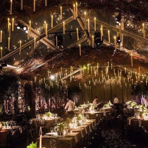 Harry Potter Enchanted Forest, Harry Potter Wedding Food Ideas, Subtle Harry Potter Wedding Decor, Harry Potter Wedding Ceremony, Classy Harry Potter Wedding, Subtle Harry Potter Wedding, Candles And Lights, Whimsigoth Wedding, Hp Wedding