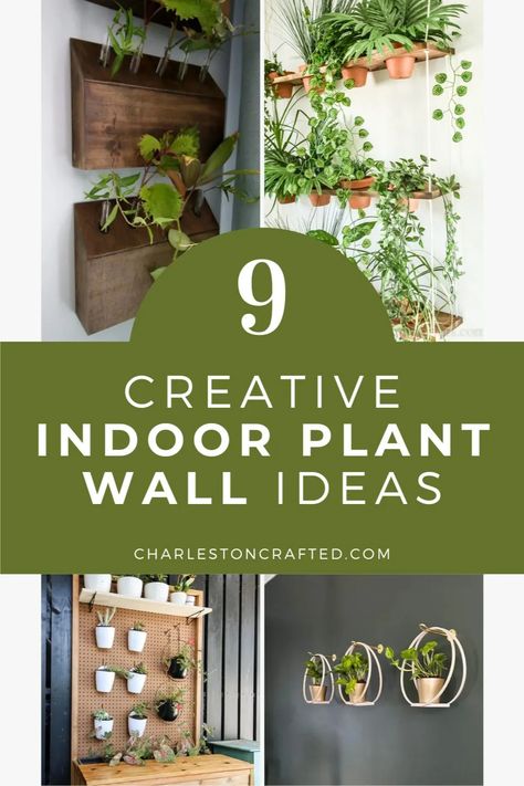 Looking for ways to bring a little more green inside your home? Check out these 9 creative indoor plant wall ideas for inspiration! Small Plant Wall, Living Wall Indoor Interior Design, Unique Ways To Display Plants, Indoor Plant Wall Shelves, Indoor Plant Wall Ideas, Indoor Wall Planter Ideas, Plant Wall Indoor, Plant Wall Ideas Indoor, Wall Planter Ideas