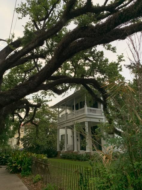 Southern Gothic Southern City Aesthetic, Living In New Orleans, Willow Creek Aesthetic, New Orleans Louisiana Aesthetic, Southern Town Aesthetic, Nova Orleans Aesthetic, Deep South Aesthetic, Vintage New Orleans Aesthetic, Tulane Aesthetic