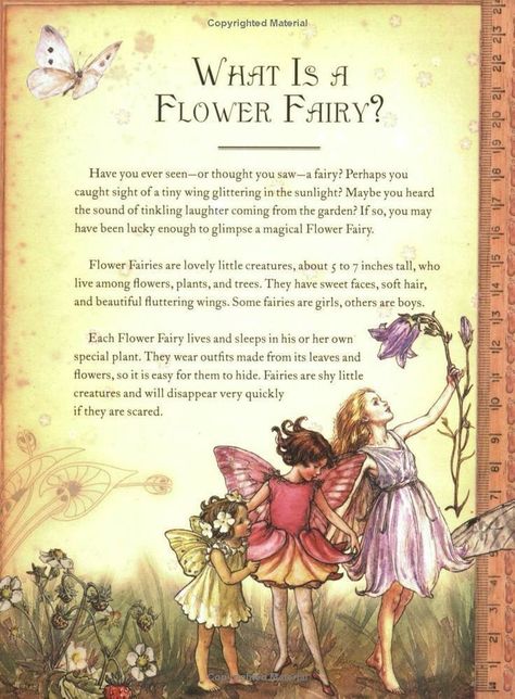 Drawing Faeries, Fairy Garden Drawing, December Flower, Fairy Quotes, Fairy Illustration, Elves And Fairies, Garden Drawing, Fairy Pictures, Cicely Mary Barker