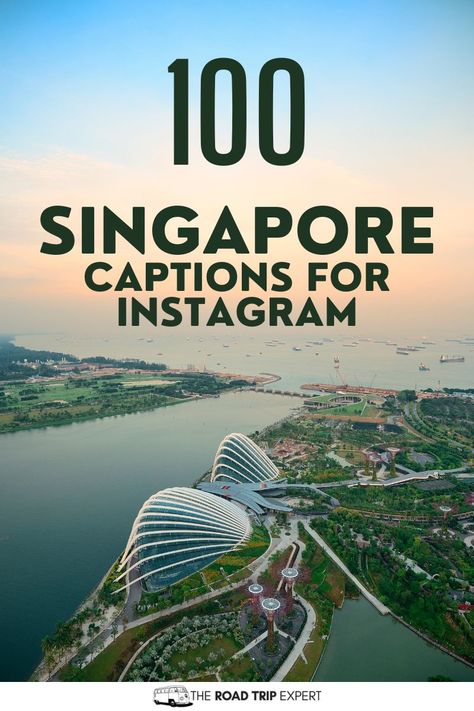 Enjoy this awesome list of the best Singapore Captions for Instagram. Singapore Quote, Captions For Instagram Photos, Singapore Vacation, Vacation Captions, Holiday In Singapore, Singapore River, Singapore Botanic Gardens, Singapore Zoo, Funny Instagram Captions