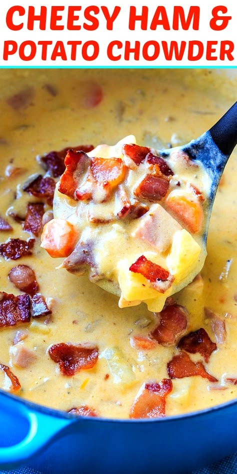 Cheesy Ham and Potato Chowder - Spicy Southern Kitchen Potato Soup With Ham And Bacon, Ham And Potatoes Soup, Leftover Ham Recipes Soup, Cheesy Ham Chowder, Ham And Potato Chowder, Potato And Ham Soup, Leftover Ham Recipes Casseroles, Bacon Carrots, Ham Potato Soup