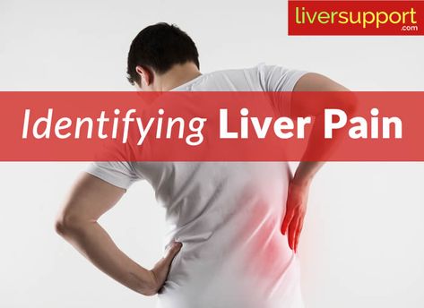 Identifying Liver Pain Liver Healthy Foods, Quadrants Of The Abdomen, Liver Cleanse Juice, Enlarged Liver, Cleanse Juice, Kidney Pain, Body Detox Cleanse, Medical Surgical Nursing, Lower Back Pain Exercises