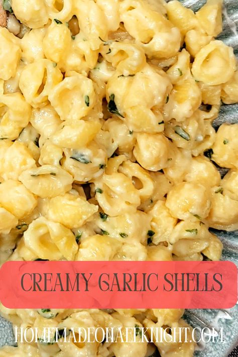 Shell Noodle Recipes Easy, Mini Shell Pasta Recipes, Side Noodle Dishes, Clambake Side Dishes, Warm Pasta Side Dishes, Pasta Side Dishes For Pork, Shell Noodle Recipes, Noodle Side Dishes, Side Dishes For Seafood