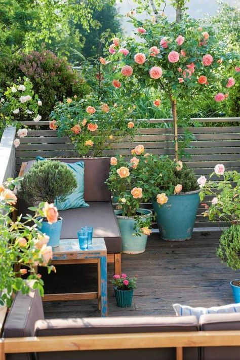 Balcony Gardening, Balkon Decor, Small Balcony Garden, Exquisite Gardens, Outdoor Seating Area, Balcony Plants, Plant Ideas, Growing Roses, Back Deck