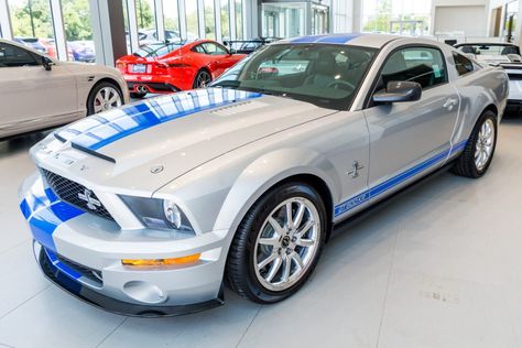 For Sale: 2009 Ford Mustang Shelby GT500KR (# 339, supercharged 5.4L V8, 6-speed, 240 miles) Shelby Logo, Ford Shelby Mustang, 2009 Ford Mustang, Shelby Mustang, Shelby Gt, Ford Shelby, Ford Racing, Cool Sports Cars, Ford Mustang Shelby