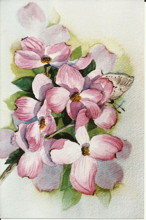 Dogwood watercolor 1990's Dogwood Flower Sketch, Dogwood Branch Drawing, Watercolor Dogwood Flowers, Dogwood Watercolor, Painting Dogwood Flowers, Dogwood Tree Illustration, Art Techniques Tutorial, Dogwood Flowers, Butterfly Painting