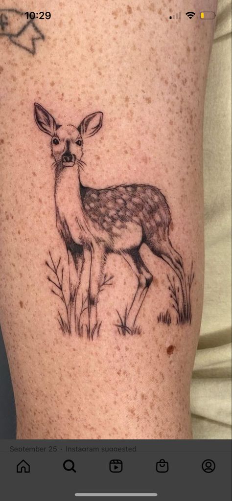 Black And Grey Deer Tattoo, Life Is Strange Deer Tattoo, Forest Animals Tattoo, Deer Tattoo Ideas, Life Is Strange Tattoo, Baby Deer Tattoo, Fawn Tattoo, 24 Tattoo, Deer Tattoos