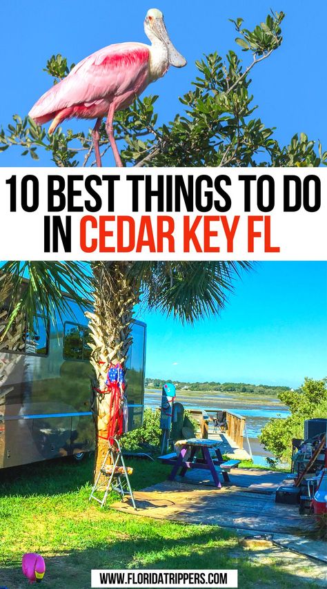 10 Best Things to Do in Cedar Key FL Bucket List Places To Visit, Cedar Key Fl, Cedar Key Florida, Bucket List Places, Beach Vacation Spots, Cedar Key, Key West Vacations, Travel Florida, Florida Life