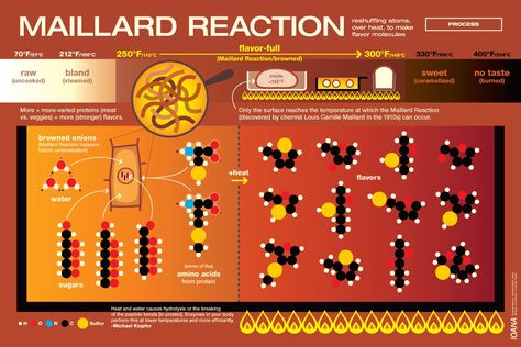 by Ioana Urma, illustrator, architect, artist Of note: This poster is part of a series featured in Top Chef Masters “Blinded Me With Science” Episode. (Shots with posters: Video 1, Video 2, Video 3… Food Product Development, Food Engineering, Protein Meats, Food Chemistry, Maillard Reaction, School Nutrition, Nutrition Chart, Food Resources, Studying Food