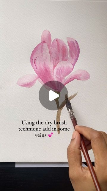 Rashmi Thodkar on Instagram: "A magnolia tutorial for this weekend 💕 Enjoy 💕 I’ve painted it entirely with 1 brush - the @goldenmapleart mop ! Get yours at a 15% discount with the code “rashmi” 💕🤗  #magnolia #magnoliatutorial #watercolormagnolia #magnolias #magnoliapainting" Magnolia Painting, Magnolia Paint, Dry Brush Technique, Watercolor Flowers Tutorial, Flowers Tutorial, Magnolia Flower, Flower Canvas, Dry Brushing, Flower Tutorial