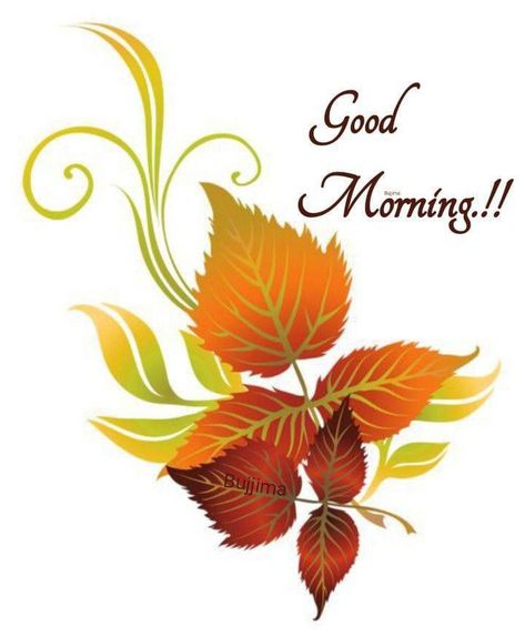 Beautiful picture Sunrise Pics, Fall Wedding Gifts, Flowers Morning, Beautiful Good Morning Wishes, Good Morning Krishna, Daily Wishes, Bengali Art, Happy New Year Gif, Beautiful Good Morning