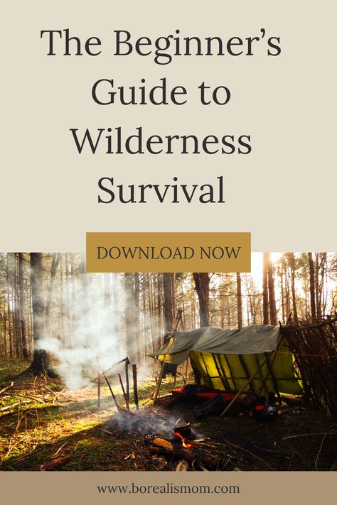 Embarking on an outdoor adventure? Equip yourself with this Ultimate Guide to Wilderness Survival. From understanding your environment to building shelters, finding food and water, signaling for help, to preparing your survival kit - get all the information you need to increase your chances of outdoor survival. Wilderness Survival Shelter, Survival Hacks, Bushcraft Skills, Survival Stuff, Skill Building, Survival Life Hacks, Survival Shelter, Animal Tracks, Savings Strategy