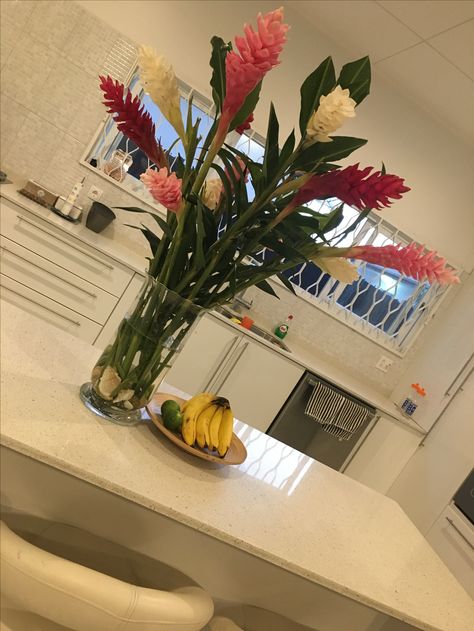 Red Ginger Flower Arrangement, Ginger Flower Arrangement, Red Ginger Flower, Moody Tropical, Pink Ginger, Red Ginger, Ginger Flower, Tropical Flower, Tropical Vibes