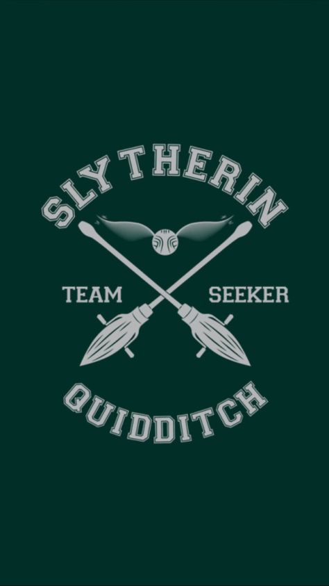 Slytherin Quidditch, Hogwarts Quidditch, Slytherin Wallpaper, Harry Potter Background, Harry Potter Poster, Draco Malfoy Aesthetic, Slytherin Pride, Buku Harry Potter, Slytherin Harry Potter