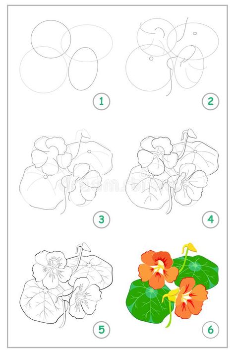 Hur Man Ritar Blommor, How To Draw Flowers, Draw Step By Step, Flower Step By Step, Draw Flowers, How To Draw Steps, Flower Drawing Tutorials, Flower Art Drawing, Floral Drawing