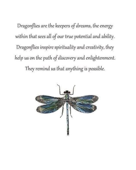 Suncatcher Dragonfly, Dragonfly Poster, Dragonfly Meaning, Dragonfly Symbolism, Dragonfly Quotes, Dragonfly Artwork, Art Dragonfly, Dragonfly Tattoo Design, Dragonfly Print