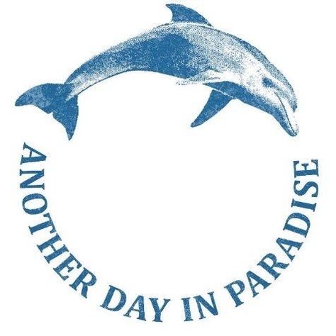 ANOTHER DAY IN PARADISE (@anotherdayinparadise.fm) • Instagram photos and videos Another Day In Paradise, Lost & Found, Another Day, Dolphins, Paradise, Lost, Instagram Photos, Photo And Video, Instagram Photo