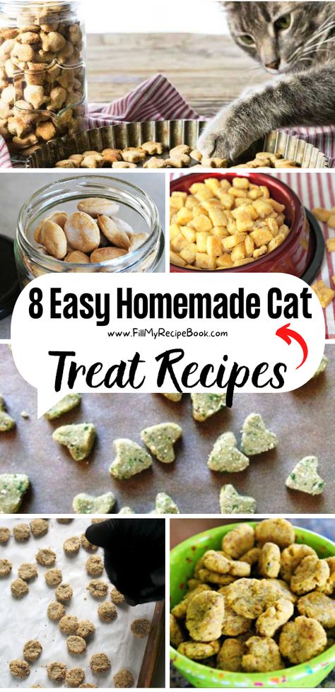 8 Easy Homemade Cat Treat Recipes - Fill My Recipe Book Catnip Treats For Cats, Salmon Cat Treats Homemade, Cat Treat Recipes Easy, Diy Kitty Treats, Cat Treat Recipes Homemade, Healthy Homemade Cat Treats, Dog And Cat Homemade Treats, Chicken Cat Treats, Baked Cat Treats