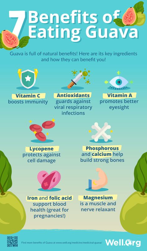 The Medicinal Properties Of Guava And Its Leaves [INFOGRAPHIC] Guava Health Benefits, Benefits Of Guava, Guava Plant, Guava Leaf Tea, Guava Benefits, Natural Plant Food, Guava Leaves, Guava Fruit, How To Prevent Cavities