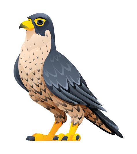 Peregrine falcon cartoon illustration isolated on white background Falcon Cartoon, Falcon Illustration, 3d Vector, Peregrine Falcon, Tiny Bird, Peregrine, Background Background, Cartoon Illustration, Design Inspo